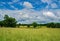 Rural Field located Appomattox County, USA