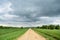 Rural field of plants and shrubs. Dirt road. Deciduous forest. There are thick clouds