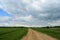 Rural field of plants and shrubs. Dirt road and stream. Forest in the distance. There are thick clouds in the sky. Green grass