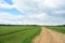 Rural field of plants and shrubs. Dirt road and stream. Forest in the distance. There are thick clouds in the sky. Green grass