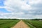 Rural field of plants and shrubs. Dirt road and stream. Forest in the distance. There are thick clouds in the sky. Green grass