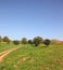 . The rural footpath crosses a green meadow