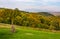 Rural grassy fields on Carpathian hills