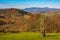 Rural grassy fields on hills in gorgeous mountains