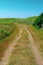 Rural grassy road in Prince Edward Island, Canada - travel destination