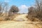 Rural gravel-dirt road in winter with mud puddle stretching across low spot and bare trees against blue sky