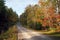 A rural gravel road through autumn trees