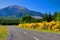 Rural Highway New Zealand