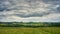 Rural hilly summer landscape with fields and several windmills