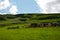 Rural homestead in drakensberg mountains