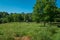 Rural homestead in farmland