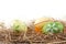 Rural horizontal view of easter eggs in the hay with flowers isolated