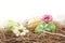 Rural horizontal view of easter eggs in the hay with flowers isolated
