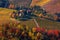 Rural houses on the hill among autumnal vineyards in Italy.