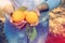 Rural image of a woman picks oranges in the citrus plantation. V