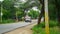 Rural India concept. Vehicles passing through rural pathway. Also green vegetative view, parallel of the road.