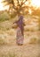 Rural Indian Girl carry water on their heads in traditional pots from well, everyday Women walk few kilometers to get water due to