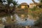 A rural Indian village pond with ducks surrounded with mud houses.