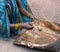 A rural Indian woman rolls tobacco cigarettes