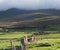 Rural Ireland Landscape