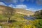 Rural irish Photography Landscape from Ireland