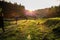 Rural Japanese scenes, sunset over the mountains and rice paddies