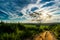 Rural ladscape, sunst, big tree and beautiful sky