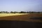 Rural landscape on Apulia between Ostuni and Brindisi