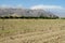 Rural landscape arable plow field