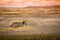 Rural landscape around Consuegra, Castile-La Mancha, Spain