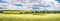 Rural landscape, banner, panorama - blooming buckwheat field