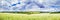 Rural landscape, banner, panorama - blooming buckwheat field