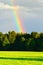 Rural landscape with beautiful rainbow after summer rainstorm over the forest.