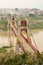 Rural landscape with a bridge across Yangtze river