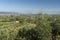 Rural landscape from Buggiano Castello, Tuscany