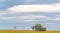 Rural landscape on cloudy and rainy day in southern Brazil