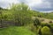 Rural landscape on a cloudy springtime day