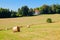 Rural landscape with coils of hay on the agricultural field and