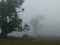 Rural landscape in Costa Rica. Day with haze