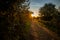 Rural landscape with country road covered in golden sunlight. Beautiful countryside at sunset. Dreamy slovakian landscape.