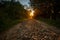 Rural landscape with country road covered in golden sunlight. Beautiful countryside at sunset. Dreamy slovakian landscape.