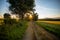 Rural landscape with country road covered in golden sunlight. Beautiful countryside at sunset. Dreamy slovakian landscape.