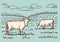 Rural landscape. Cows graze in the meadow. Hand drawn sketch. Vintage style. Color vector illustration