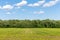 Rural Landscape - Crop Rows Leading to Sky with Clouds