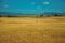 Rural landscape with cultivated fields near the Monfrague National Park