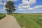 A rural landscape with a curved road between the fields and a blue sky