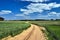 Rural landscape with a dirt, sandy road and arable fields