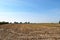 Rural landscape. Farmer\'s field. Uninhabited areas outside the city.