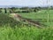 Rural landscape farmland