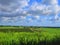 Rural landscape farmland